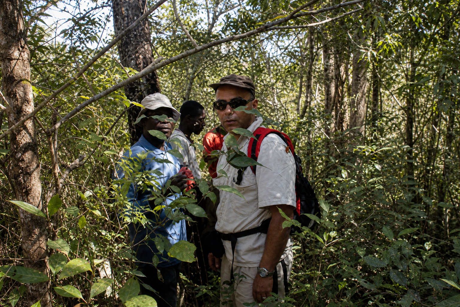 Danilo Barbero and colleagues during forest fieldwork
